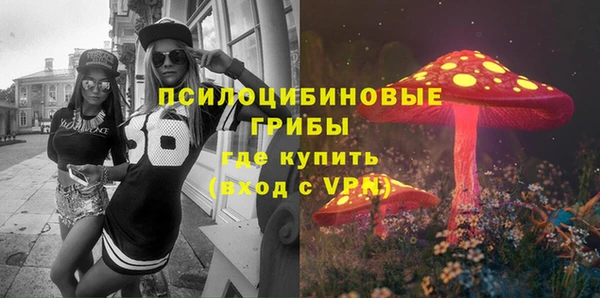 Альфа ПВП Богородск