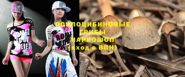 хмурый Богданович