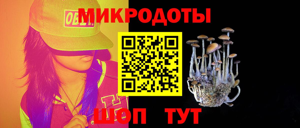 Галлюциногенные грибы мицелий Минеральные Воды