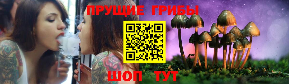 Псилоцибиновые грибы мухоморы  Вход с VPN  Минеральные Воды  Псилоцибиновые грибы Psilocybe 
